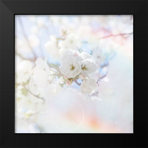 Apple Blossoms 04 Black Modern Wood Framed Art Print by LightBoxJournal
