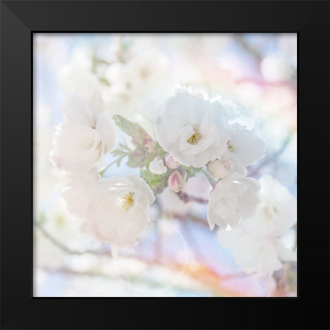 Apple Blossoms 05 Black Modern Wood Framed Art Print by LightBoxJournal