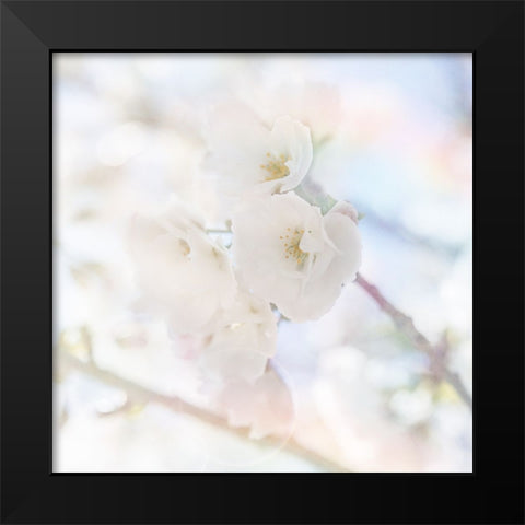 Apple Blossoms 06 Black Modern Wood Framed Art Print by LightBoxJournal