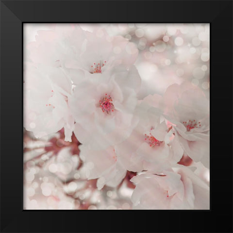 Pinky Blossom 1 Black Modern Wood Framed Art Print by LightBoxJournal