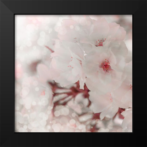 Pinky Blossom 2 Black Modern Wood Framed Art Print by LightBoxJournal