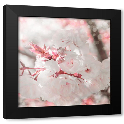 Pinky Blossom 3 Black Modern Wood Framed Art Print with Double Matting by LightBoxJournal