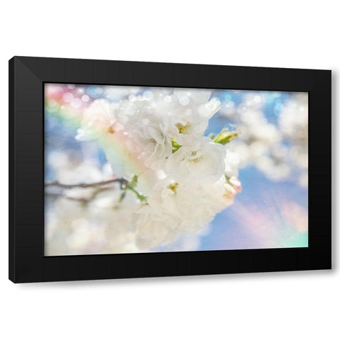 White Spring Blossoms 08 Black Modern Wood Framed Art Print by LightBoxJournal