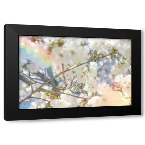 White Spring Blossoms 09 Black Modern Wood Framed Art Print by LightBoxJournal