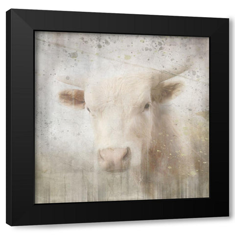 Antique Farm 07 Black Modern Wood Framed Art Print with Double Matting by LightBoxJournal