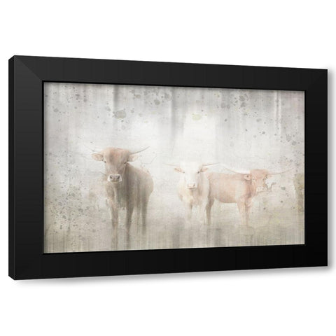 Antique Farm 08 Black Modern Wood Framed Art Print with Double Matting by LightBoxJournal