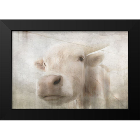 Antique Farm 18 Black Modern Wood Framed Art Print by LightBoxJournal