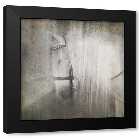 Antique Farm 21 Black Modern Wood Framed Art Print by LightBoxJournal