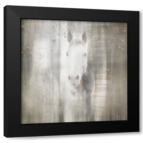 Antique Farm 30 Black Modern Wood Framed Art Print with Double Matting by LightBoxJournal