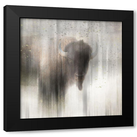 Antique Wildlife Buffalo Black Modern Wood Framed Art Print with Double Matting by LightBoxJournal
