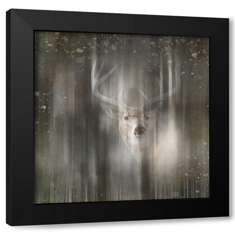Antique Wildlife Deer 02 Black Modern Wood Framed Art Print with Double Matting by LightBoxJournal