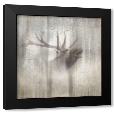 Antique Wildlife Elk 2 Black Modern Wood Framed Art Print with Double Matting by LightBoxJournal