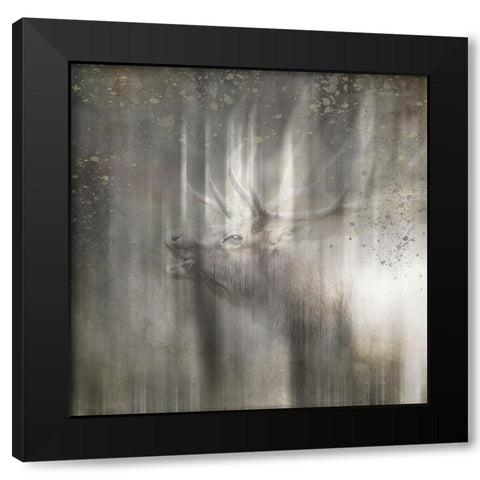 Antique Wildlife Elk Black Modern Wood Framed Art Print by LightBoxJournal