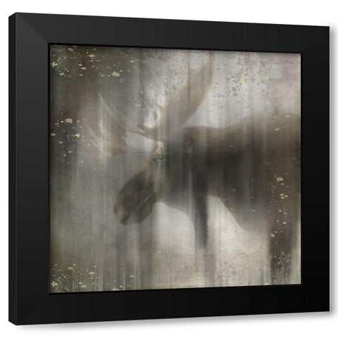 Antique Wildlife Moose Black Modern Wood Framed Art Print with Double Matting by LightBoxJournal