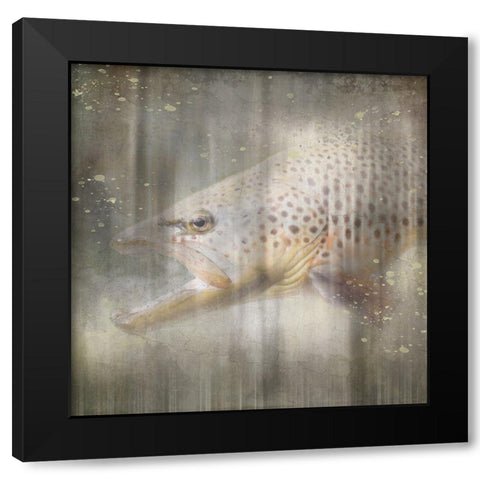 Antique Wildlife Brown Trout Black Modern Wood Framed Art Print with Double Matting by LightBoxJournal