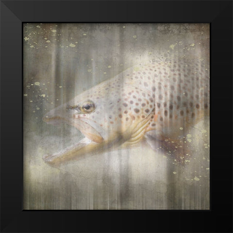 Antique Wildlife Brown Trout Black Modern Wood Framed Art Print by LightBoxJournal