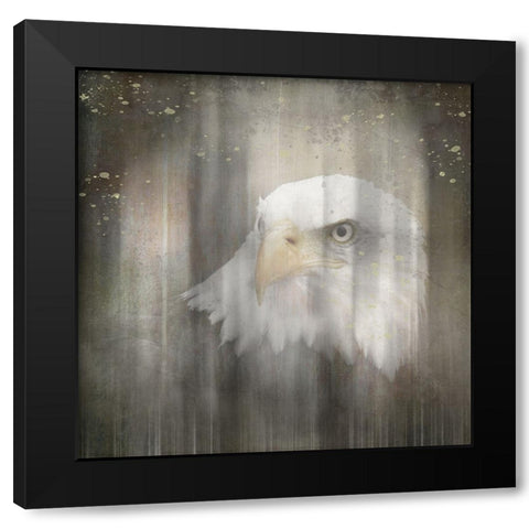 Antique Wildlife Eagle Black Modern Wood Framed Art Print with Double Matting by LightBoxJournal