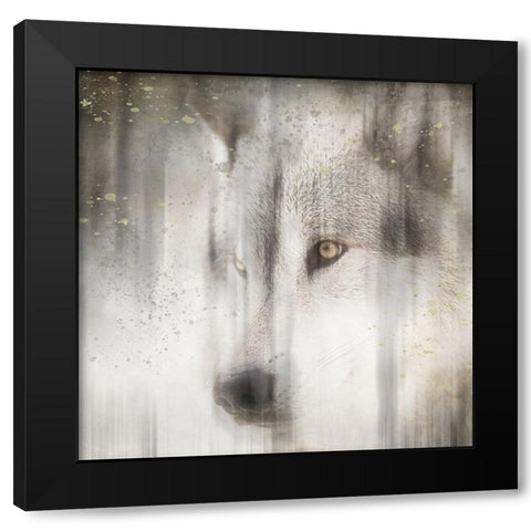 Antique Wildlife Wolf Black Modern Wood Framed Art Print by LightBoxJournal