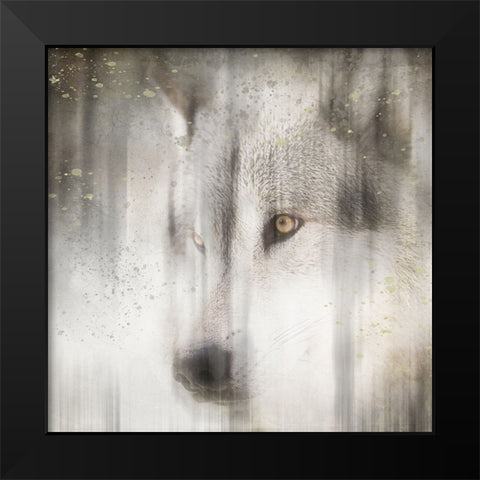 Antique Wildlife Wolf Black Modern Wood Framed Art Print by LightBoxJournal