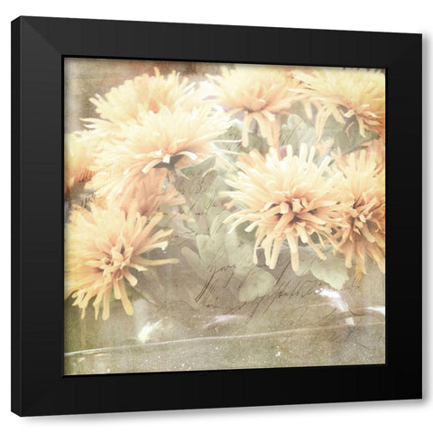 JunkGypsy 2 Black Modern Wood Framed Art Print with Double Matting by LightBoxJournal