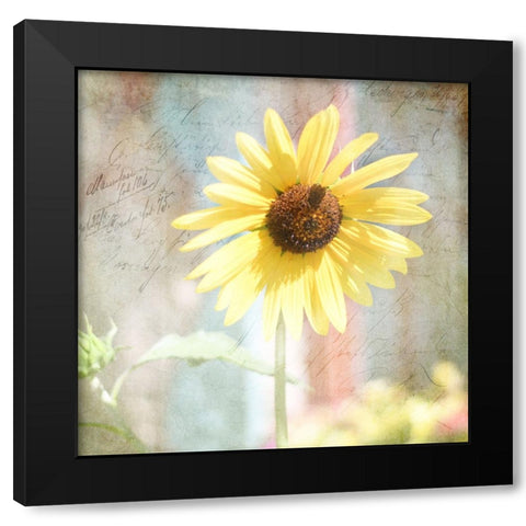 JunkGypsy 36 Black Modern Wood Framed Art Print with Double Matting by LightBoxJournal