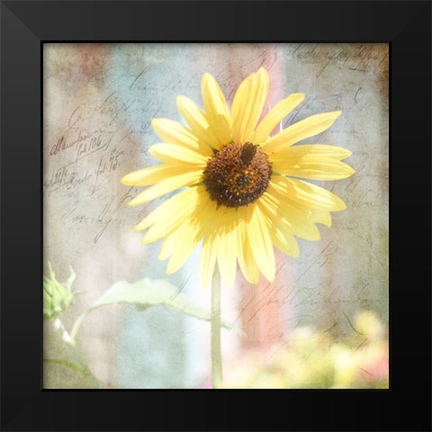 JunkGypsy 36 Black Modern Wood Framed Art Print by LightBoxJournal