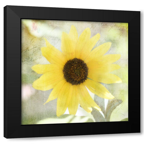 JunkGypsy 37 Black Modern Wood Framed Art Print by LightBoxJournal
