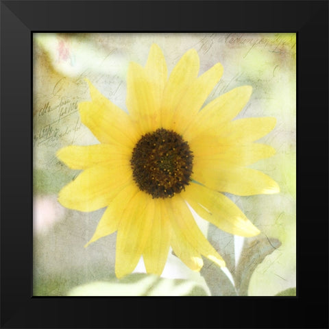 JunkGypsy 37 Black Modern Wood Framed Art Print by LightBoxJournal