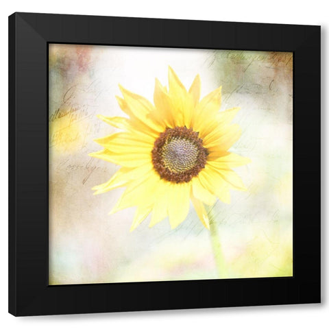 JunkGypsy 39 Black Modern Wood Framed Art Print by LightBoxJournal