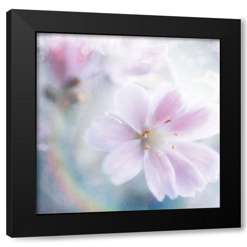 Mystical Gypsy Flower 01 Black Modern Wood Framed Art Print with Double Matting by LightBoxJournal