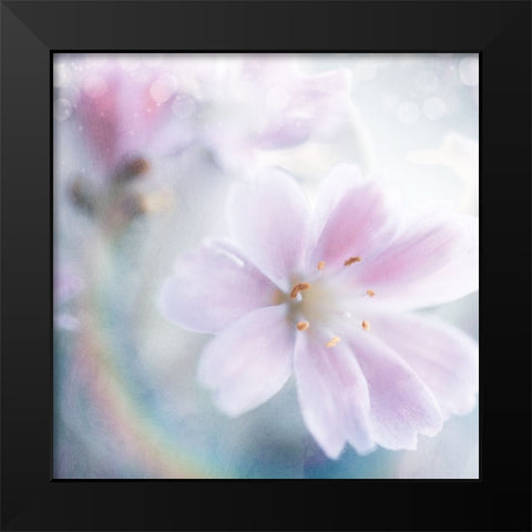 Mystical Gypsy Flower 01 Black Modern Wood Framed Art Print by LightBoxJournal