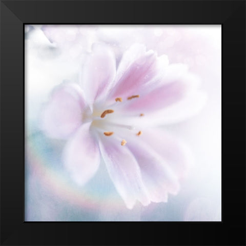 Mystical Gypsy Flower 02 Black Modern Wood Framed Art Print by LightBoxJournal