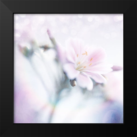 Mystical Gypsy Flower 03 Black Modern Wood Framed Art Print by LightBoxJournal