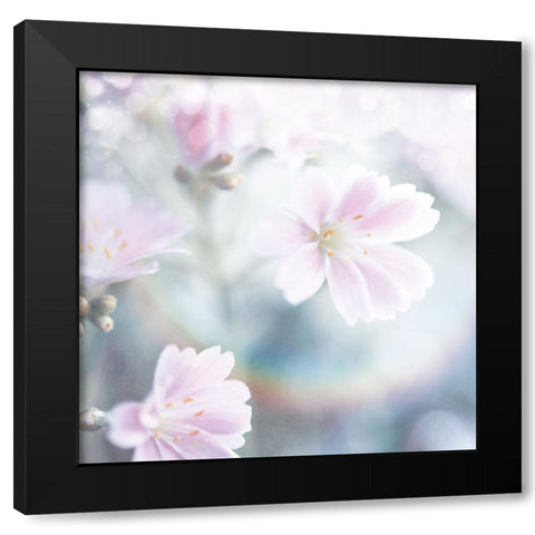 Mystical Gypsy Flower 04 Black Modern Wood Framed Art Print by LightBoxJournal