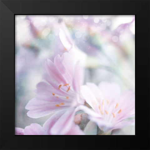 Mystical Gypsy Flower 05 Black Modern Wood Framed Art Print by LightBoxJournal