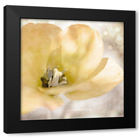 Yellow Tulip 01 Black Modern Wood Framed Art Print with Double Matting by LightBoxJournal