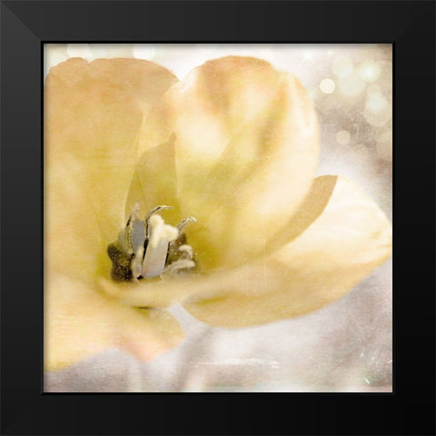 Yellow Tulip 01 Black Modern Wood Framed Art Print by LightBoxJournal