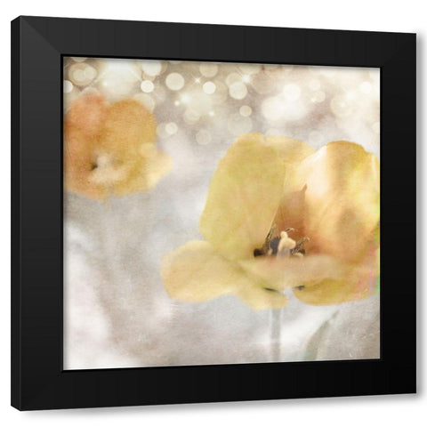 Yellow Tulip 02 Black Modern Wood Framed Art Print with Double Matting by LightBoxJournal