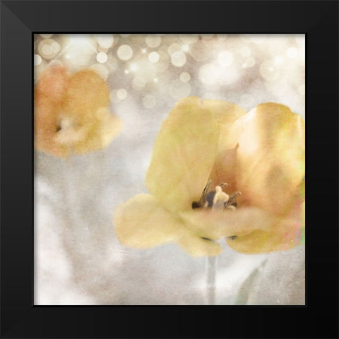 Yellow Tulip 02 Black Modern Wood Framed Art Print by LightBoxJournal