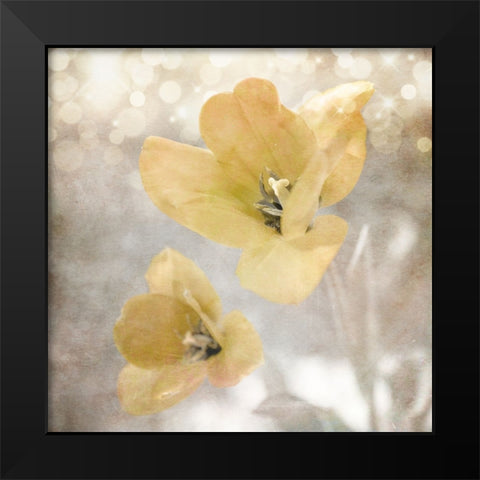 Yellow Tulip 03 Black Modern Wood Framed Art Print by LightBoxJournal