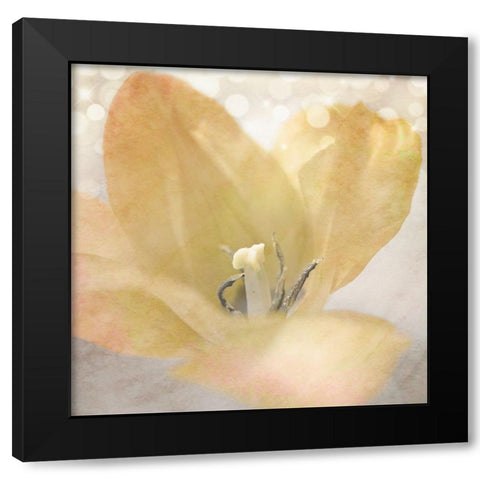 Yellow Tulip 04 Black Modern Wood Framed Art Print with Double Matting by LightBoxJournal