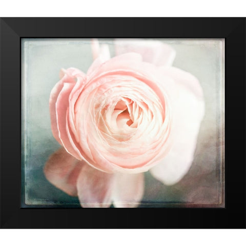 Peony 02 Black Modern Wood Framed Art Print by LightBoxJournal