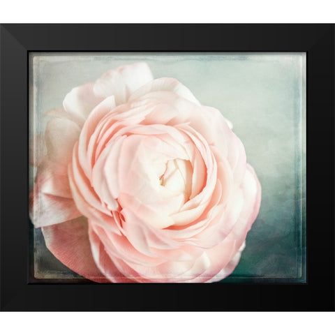 Peony 04 Black Modern Wood Framed Art Print by LightBoxJournal