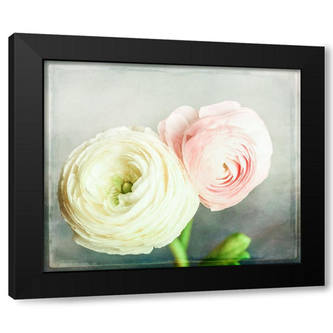 Peony 06 Black Modern Wood Framed Art Print with Double Matting by LightBoxJournal