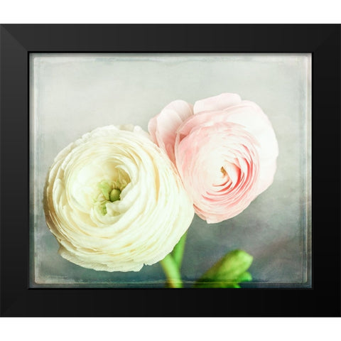 Peony 06 Black Modern Wood Framed Art Print by LightBoxJournal