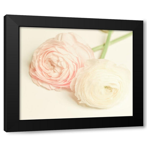 Peony A3 Black Modern Wood Framed Art Print by LightBoxJournal