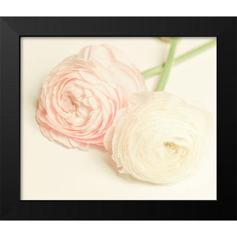 Peony A3 Black Modern Wood Framed Art Print by LightBoxJournal