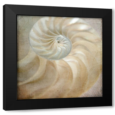 Under the Sea 01 Black Modern Wood Framed Art Print by LightBoxJournal