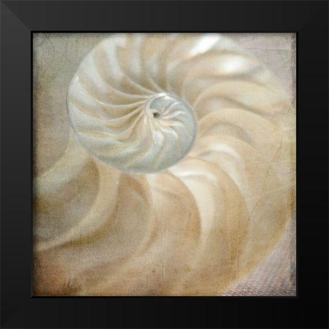 Under the Sea 01 Black Modern Wood Framed Art Print by LightBoxJournal