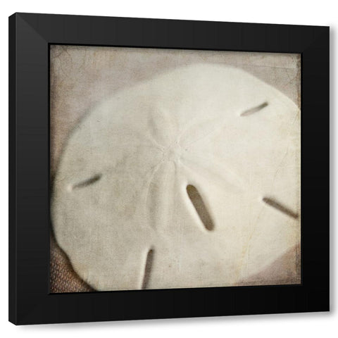 Under the Sea 02 Black Modern Wood Framed Art Print with Double Matting by LightBoxJournal